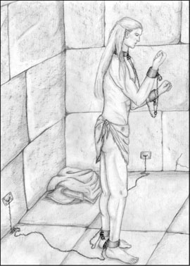 Captive Captive